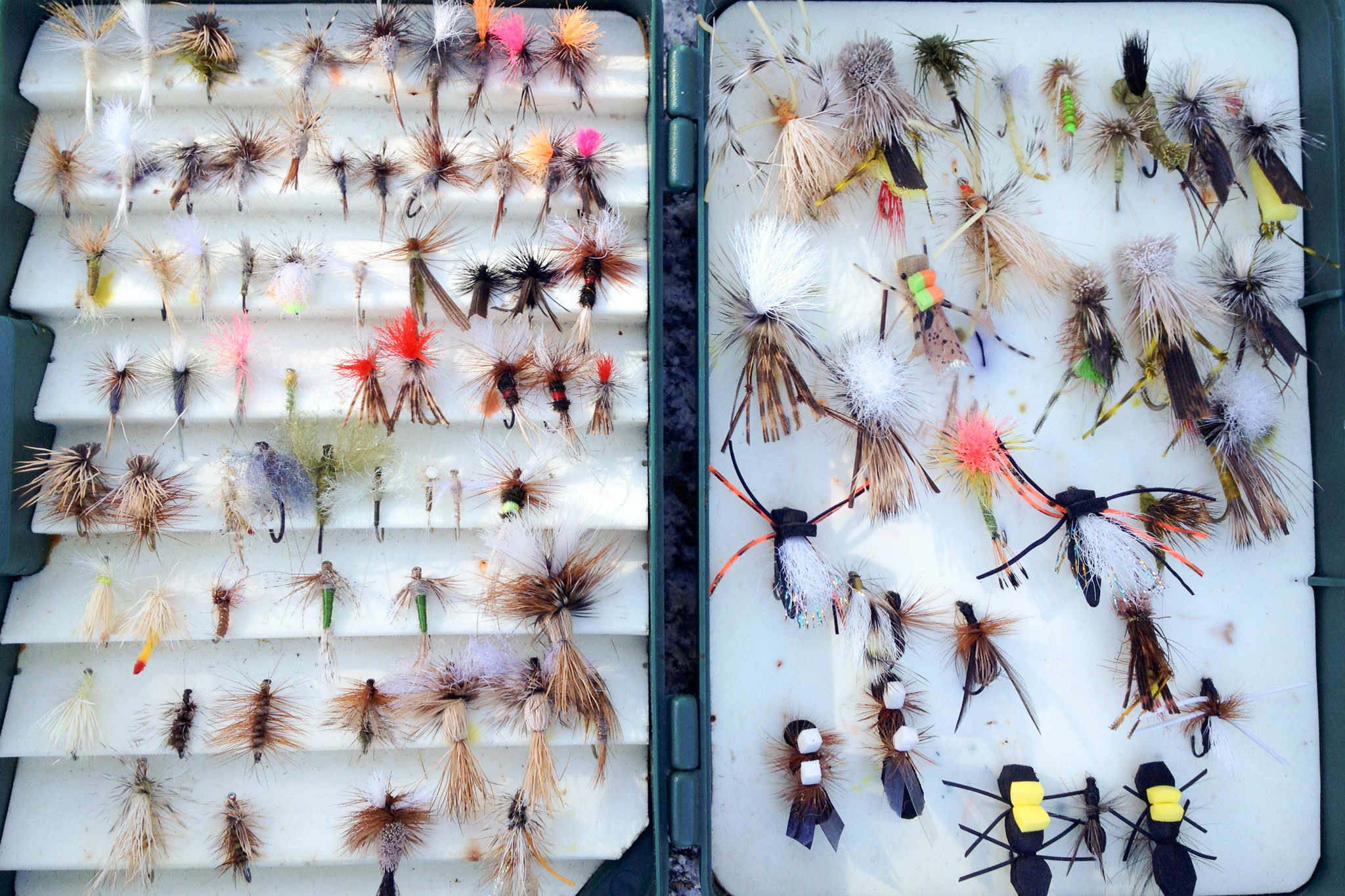 Assortment of fly fishing lures in a case