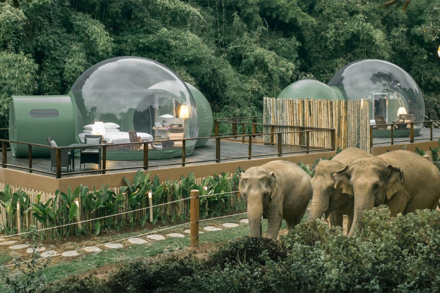 Sleep With Elephants in the Jungle Bubbles of Thailand's Golden Triangle  Resort - The Manual