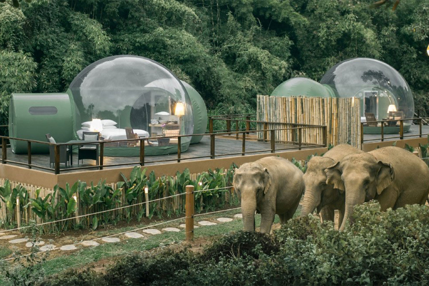 Sleep With Elephants in the Jungle Bubbles of Thailand's Golden Triangle Resort - The Manual Sleep With Elephants in the Jungle Bubbles of Thailand's Golden Triangle Resort - The Manual