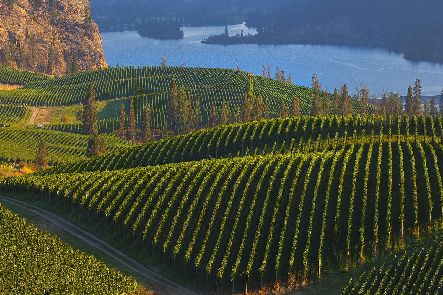 Wineries in discount the okanagan