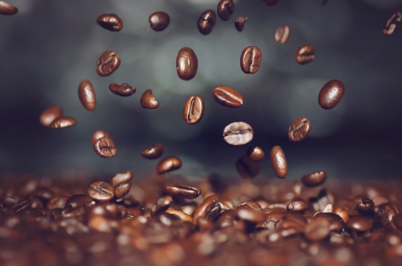 Coffee beans in close-up