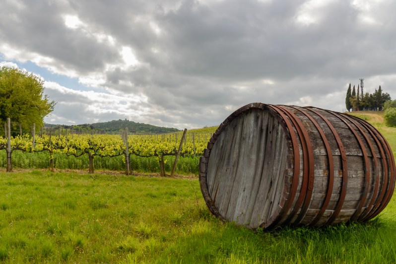 wine barrel in field