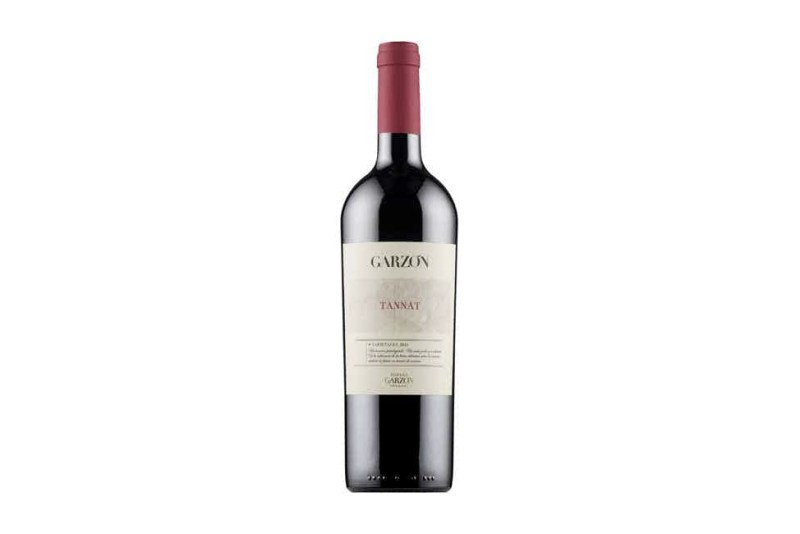 A bottle of Bodega Garzón Tannat.
