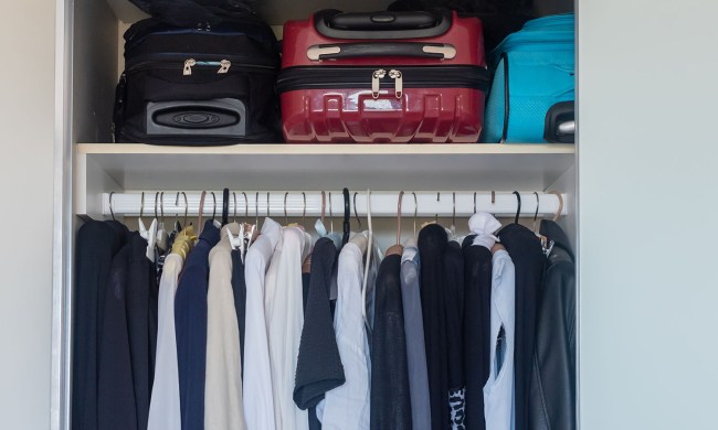 Closet with luggage and hanging clothes