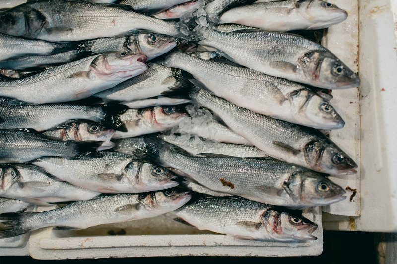 Best Fish to Eat: 12 Healthiest Options