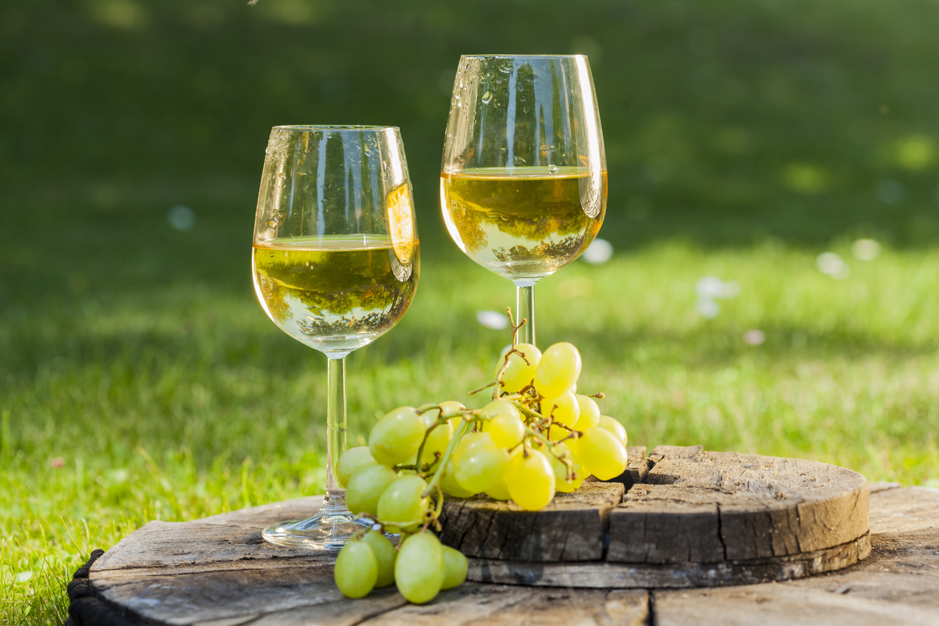 Sauvignon blanc white wine on a table with grapes