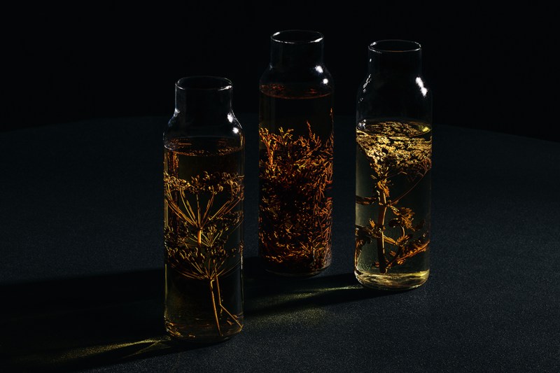 Aquavit-infusions