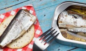 can of fish