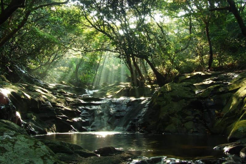 Yangmingshan National Park