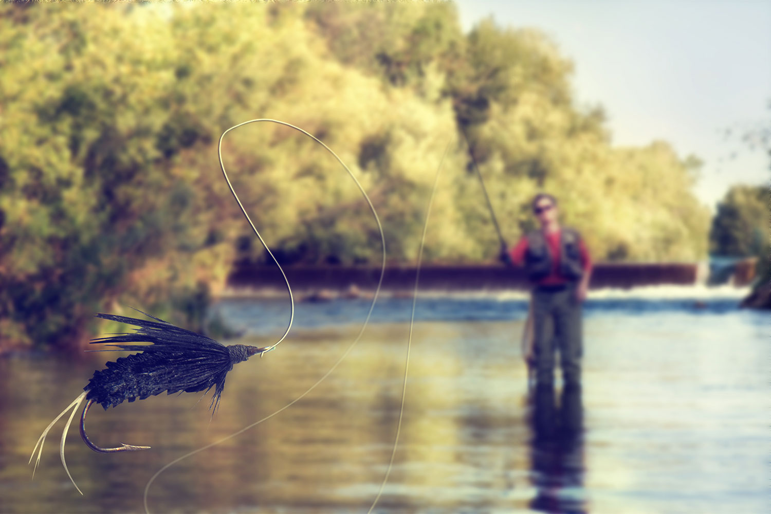 A man fly fishing in a river