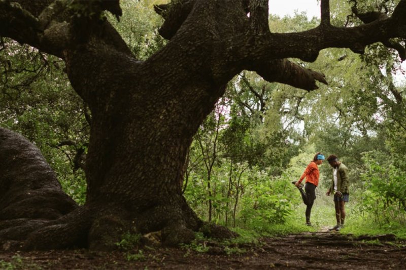 Two trail runners warming up on a trail near a large tree.