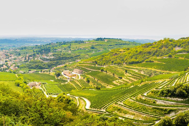 Valpolicella