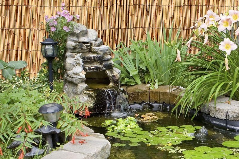 A beautiful pond in a garden.
