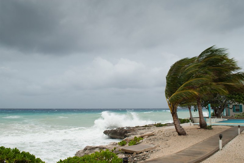 How to survive a hurricane.
