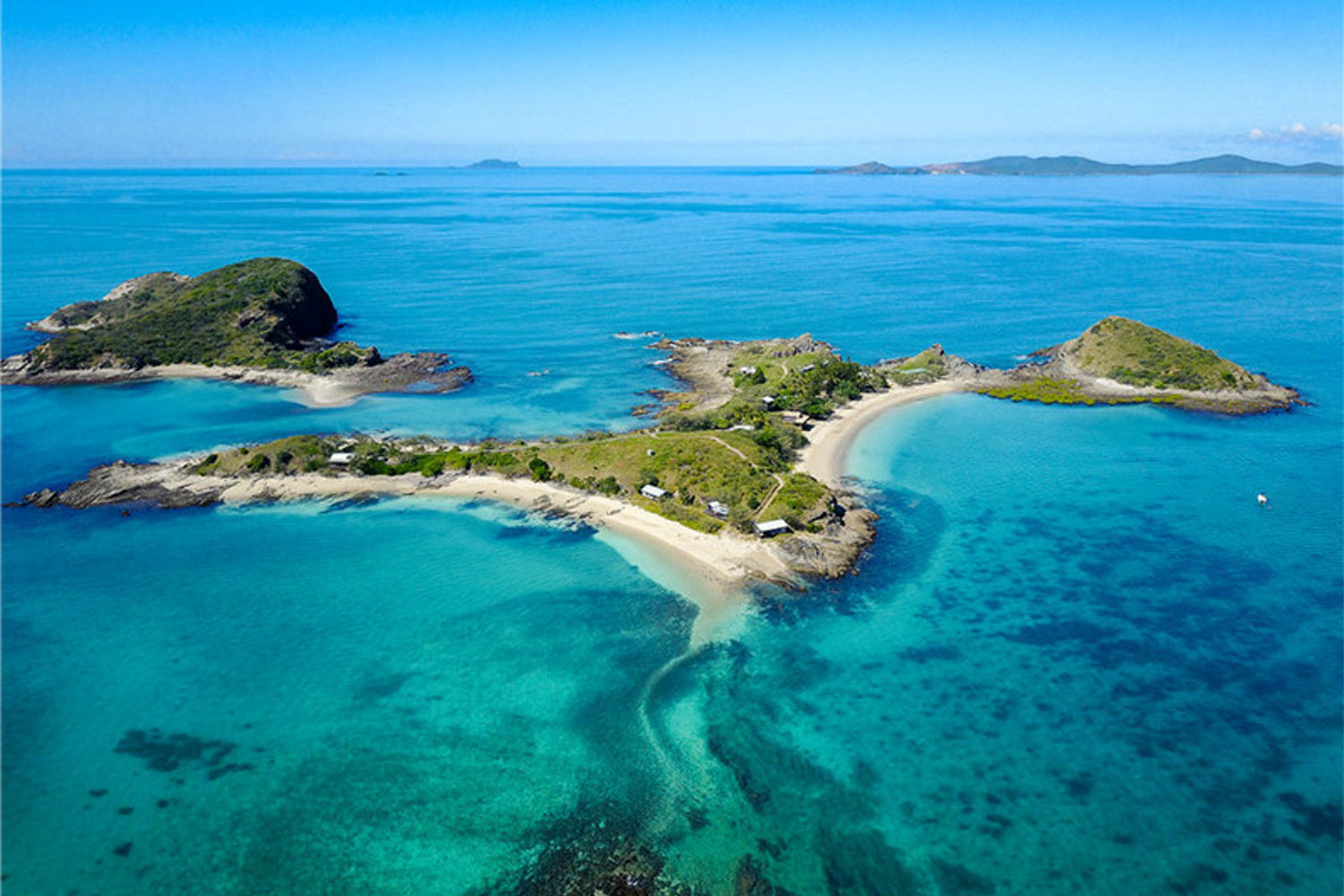 pumpkin island great barrier reef australia 1