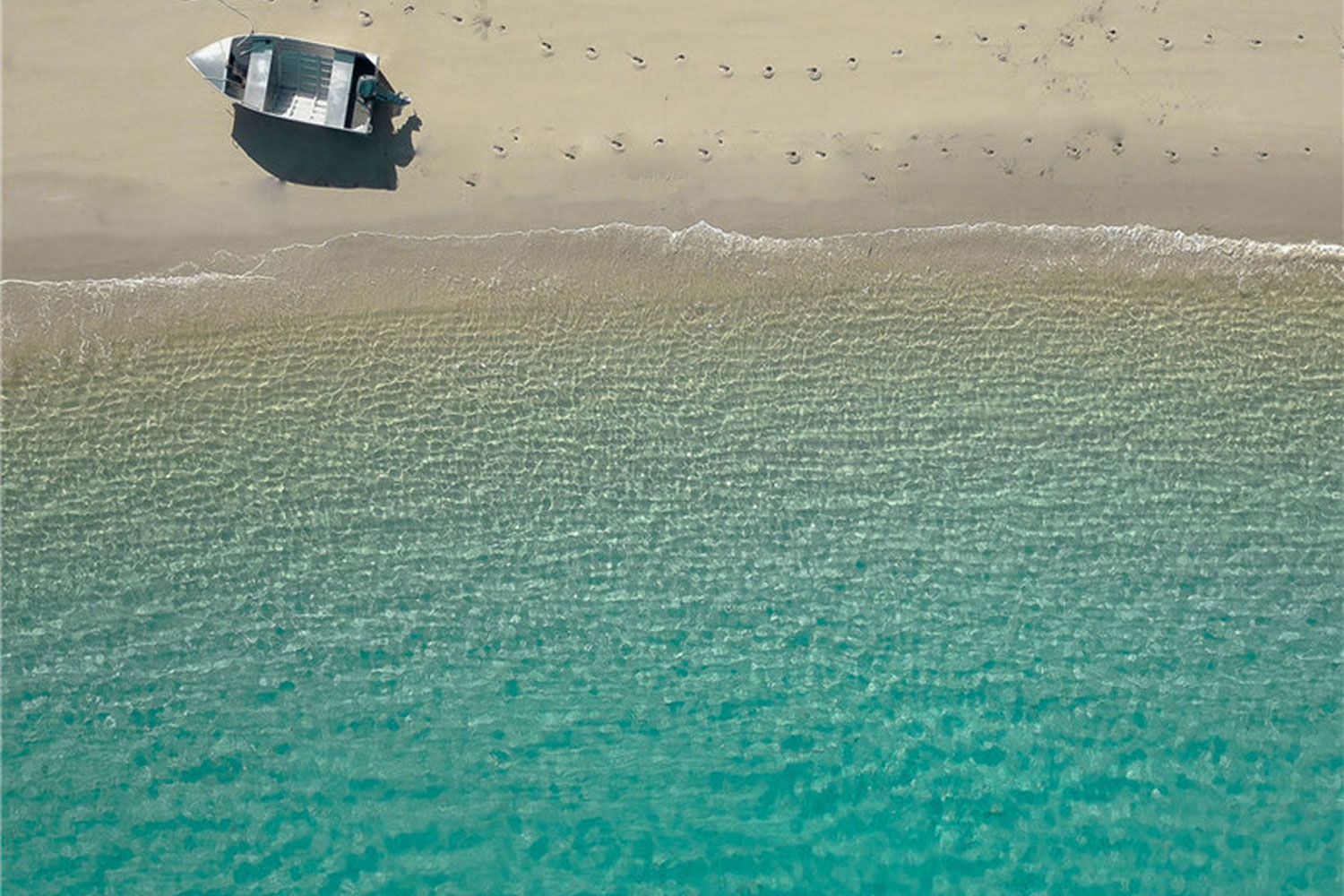 pumpkin island great barrier reef australia 2