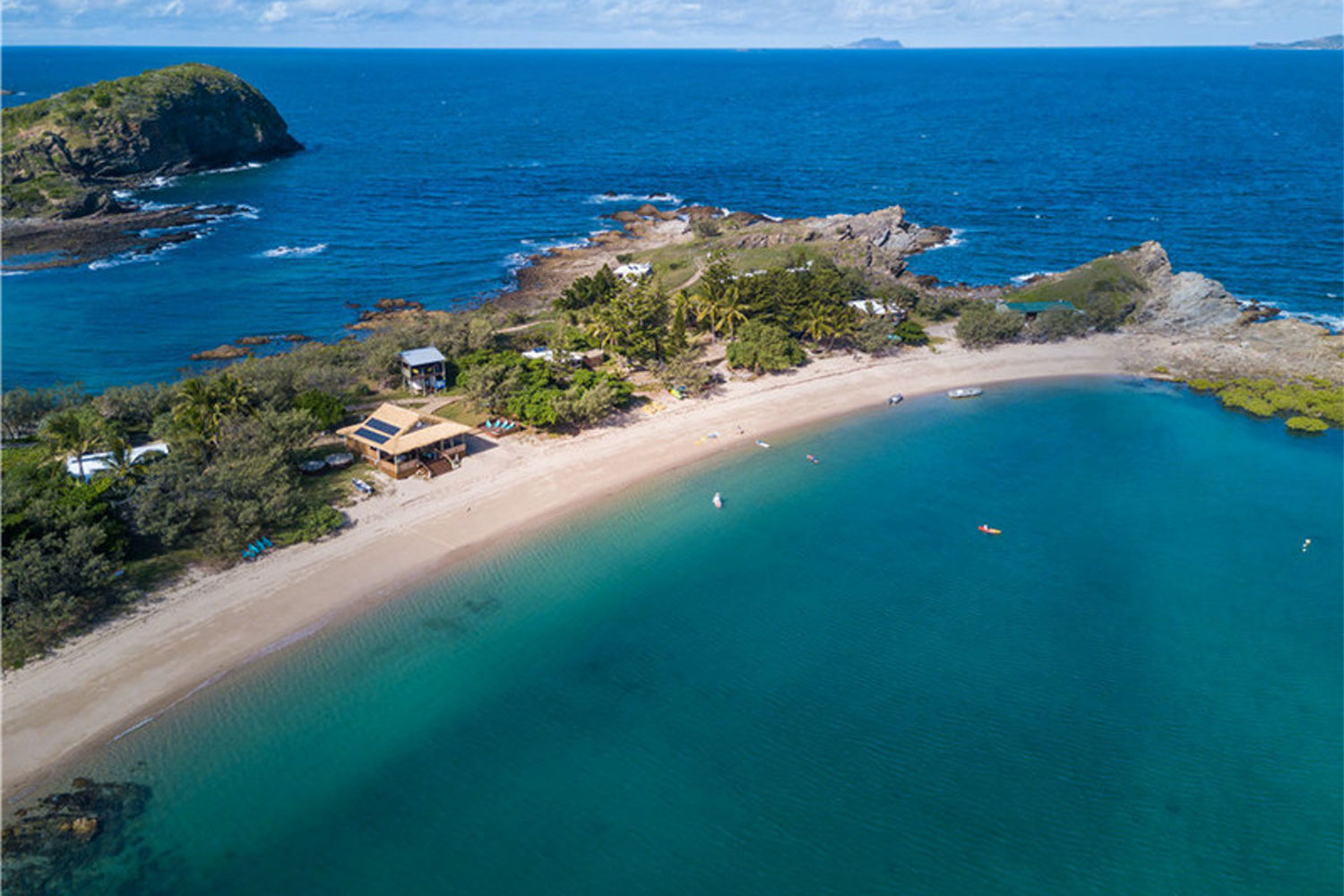 pumpkin island great barrier reef australia 3