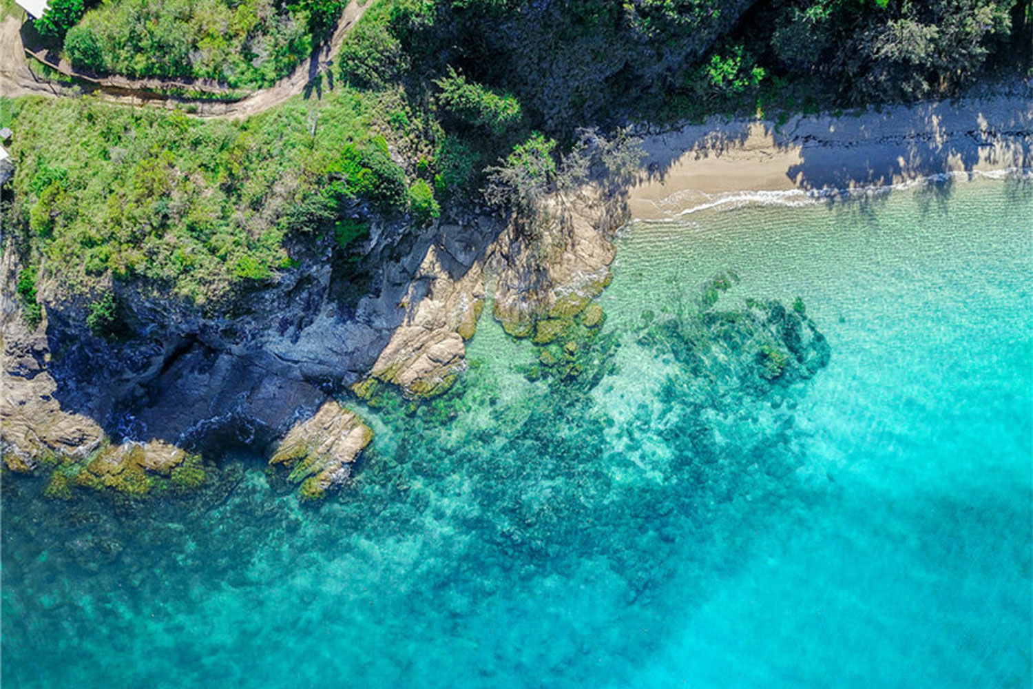 pumpkin island great barrier reef australia 4