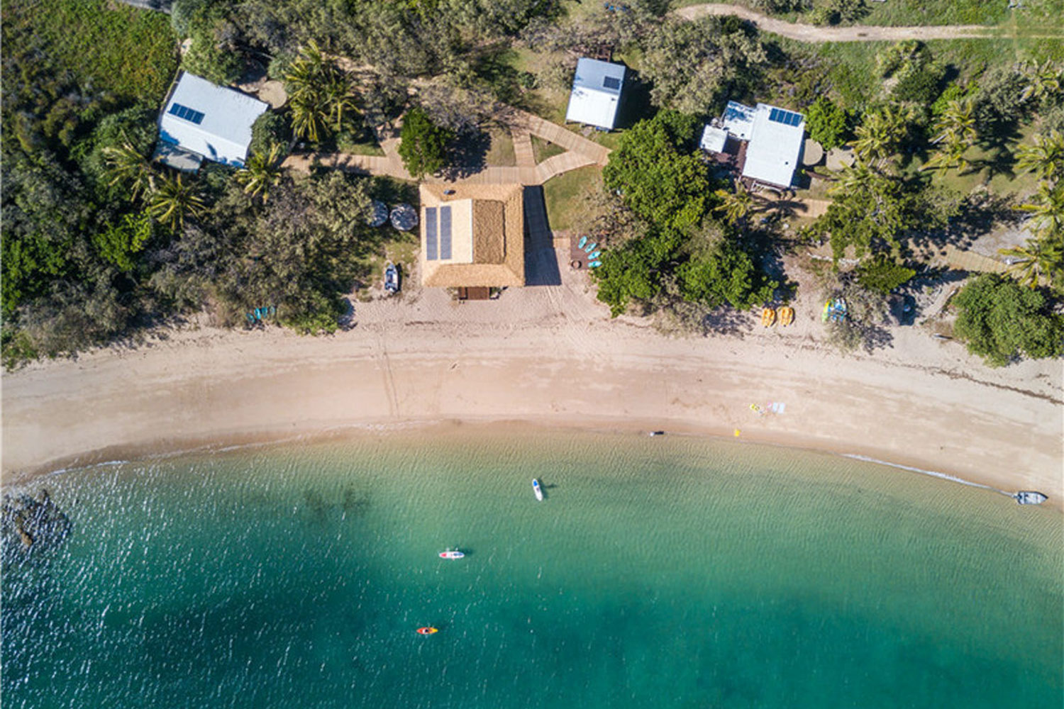 pumpkin island great barrier reef australia 5