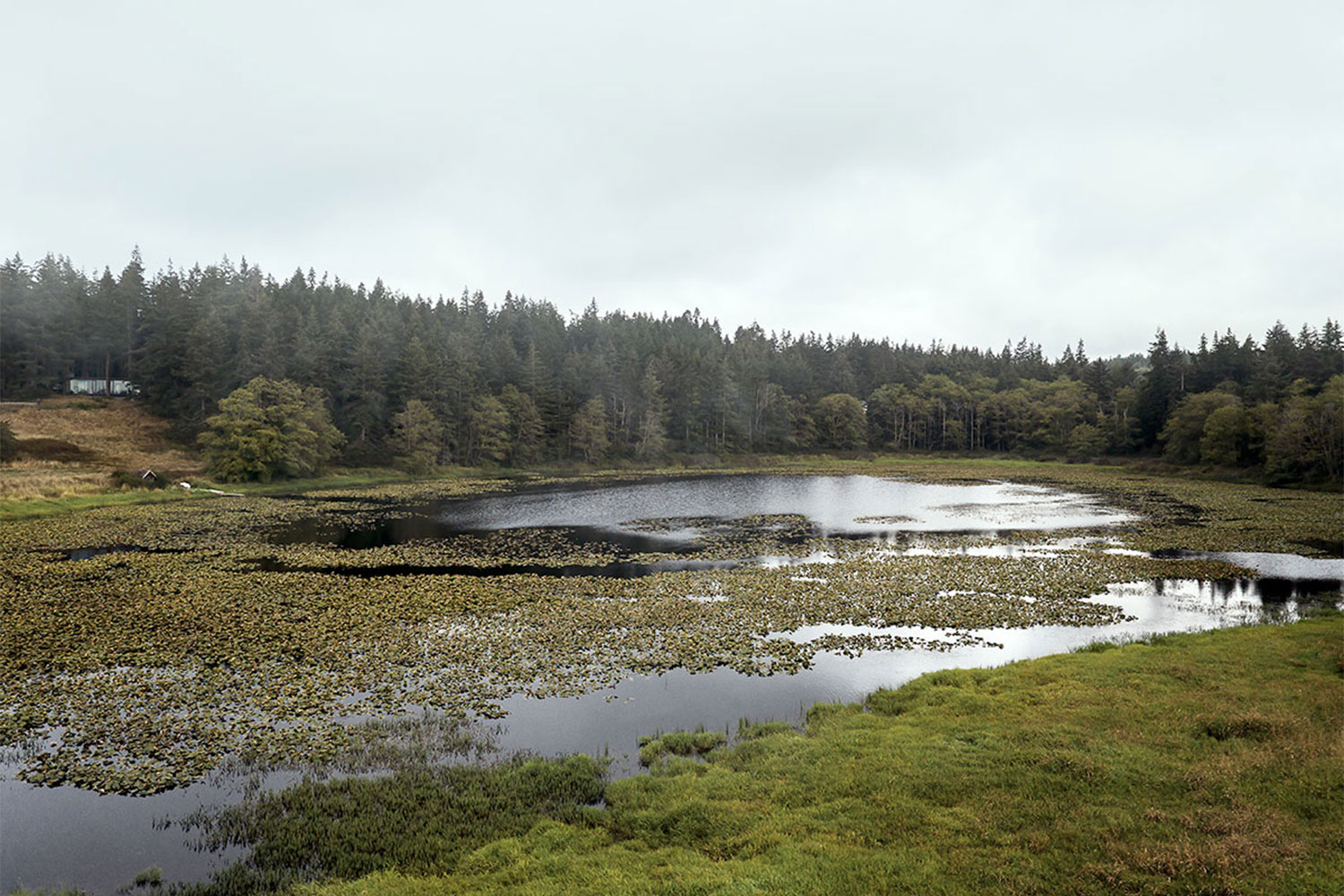 Whidbey Island Farm