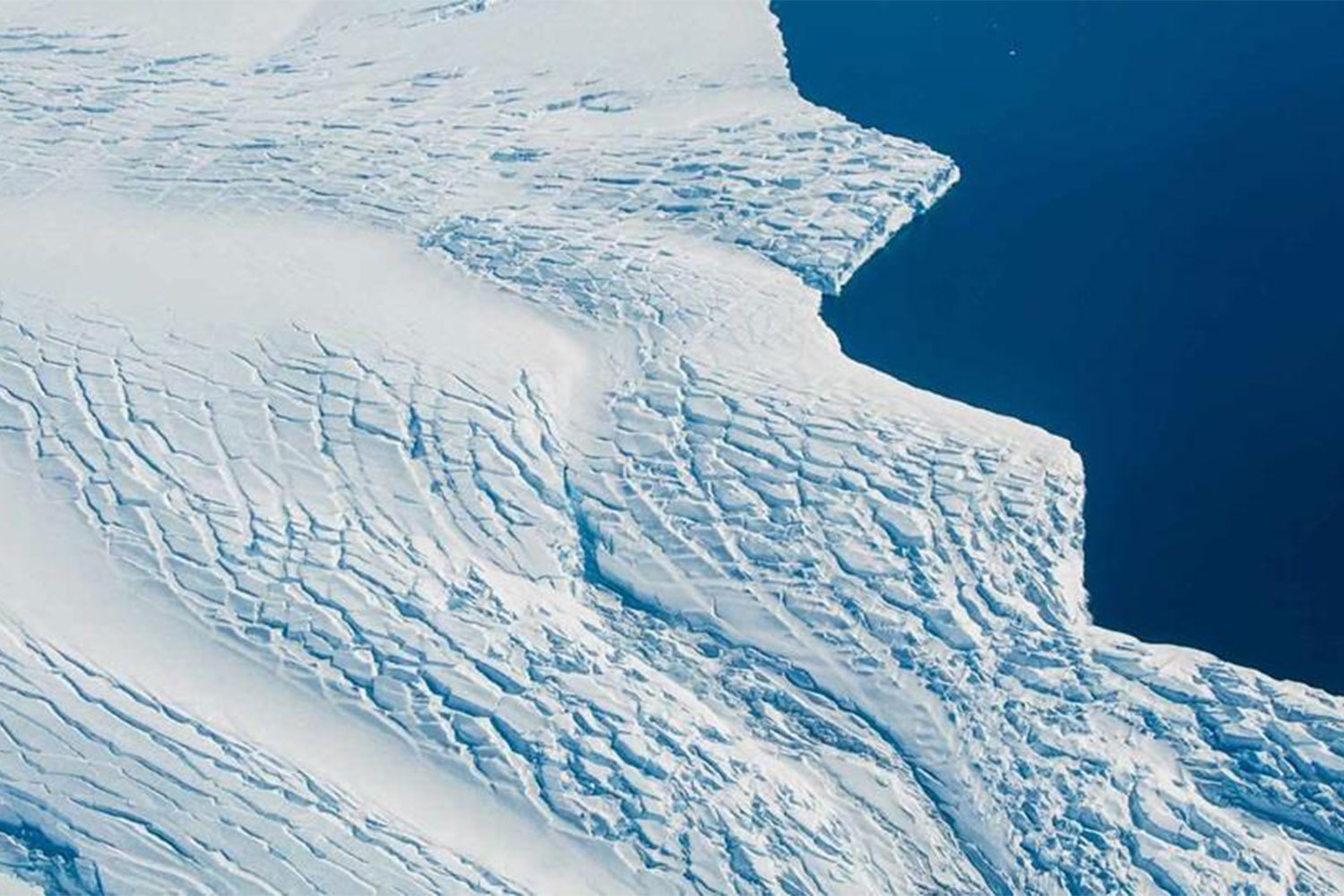 sightseeing day trip flight antarctica antarctic flights 4