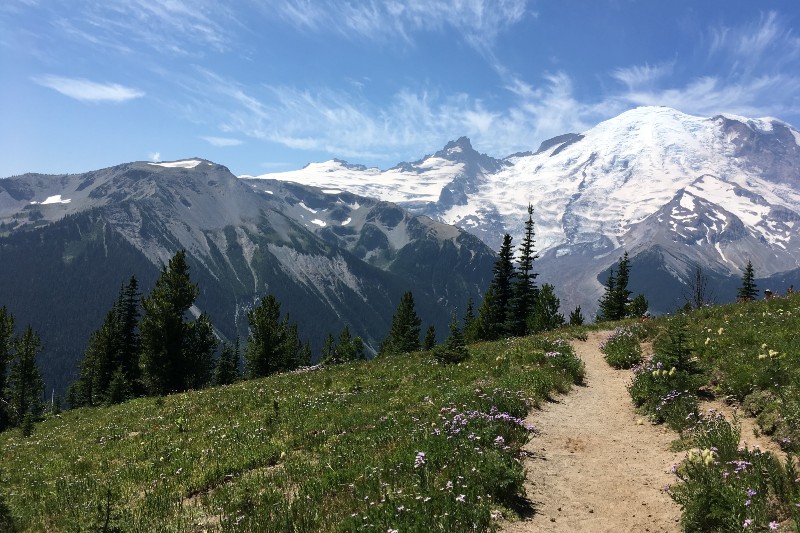 A scenic view of the Muir Snowfield Trail.