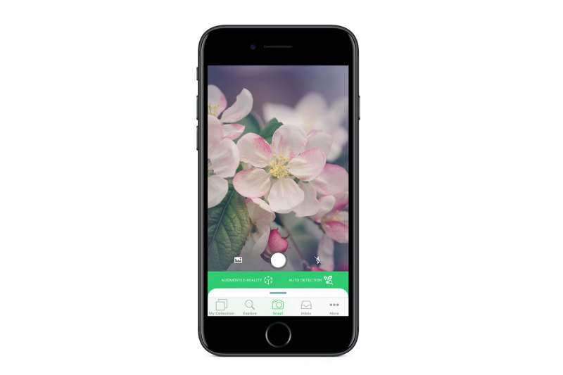 Get the best nature apps for identifying unknown plants and critters ...