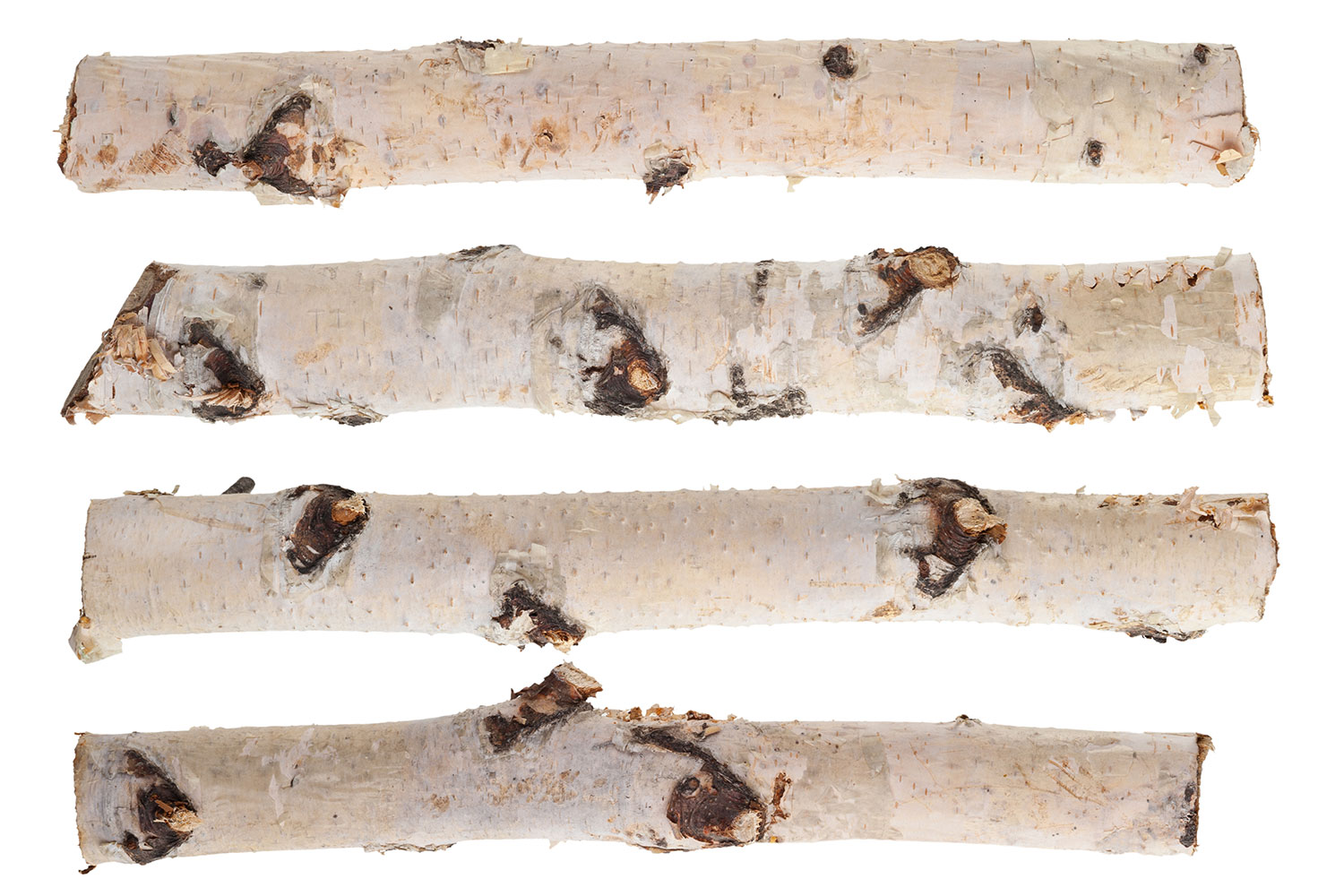 Birch logs