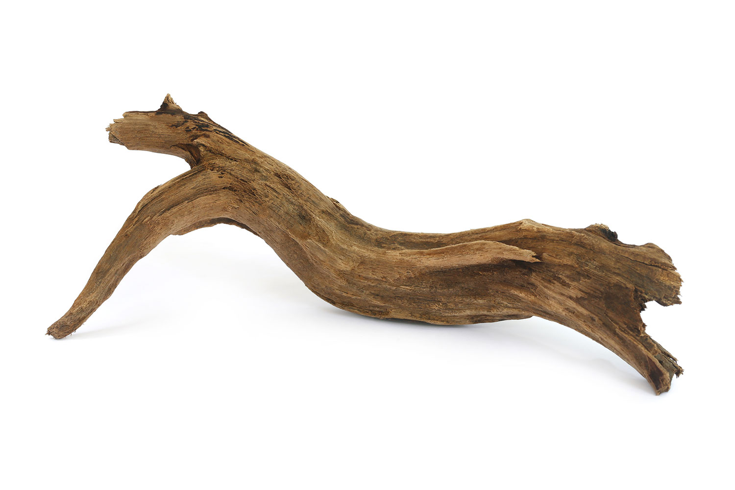 A piece of driftwood