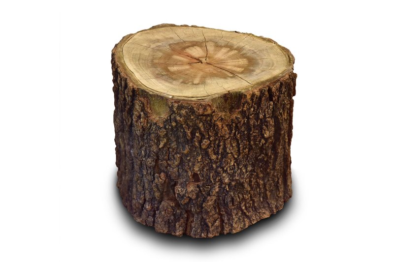 Fruit tree wood