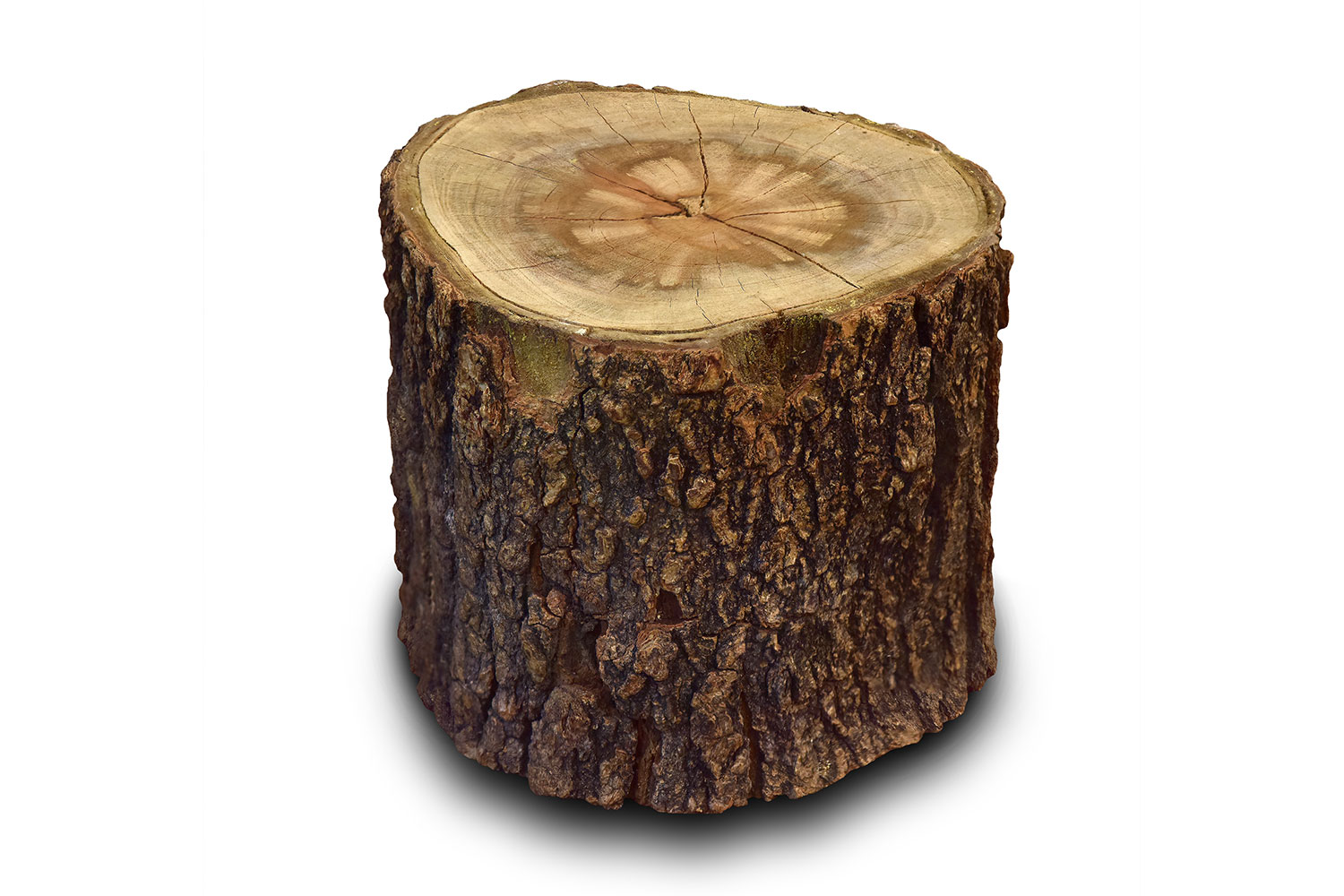 Fruit tree wood