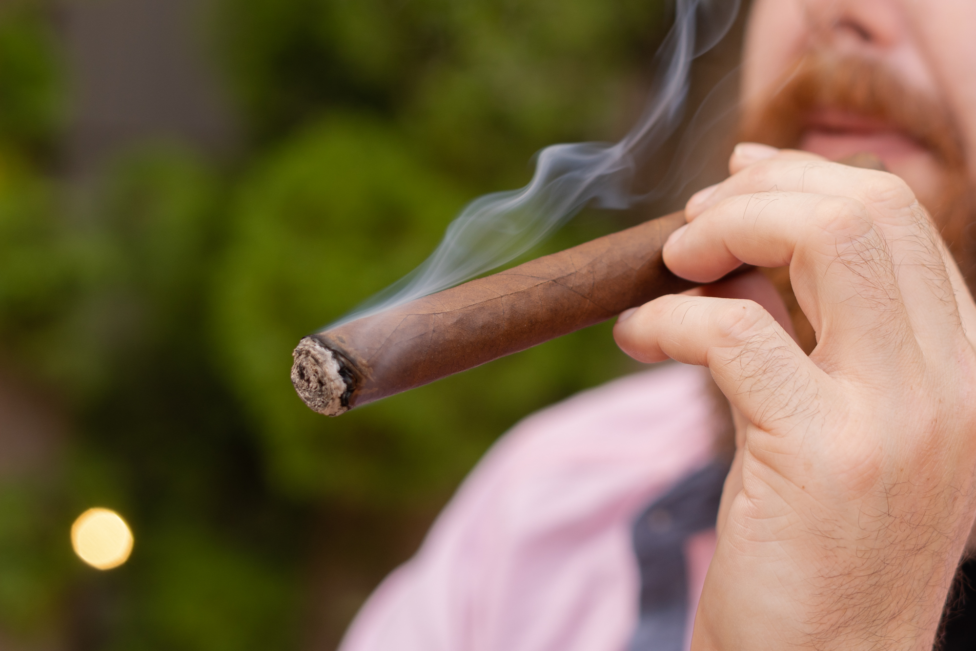 Cigar Festivals 2025