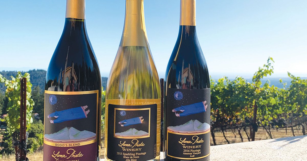 Exploring South Africa's Pinotage Wine Grape - The Manual