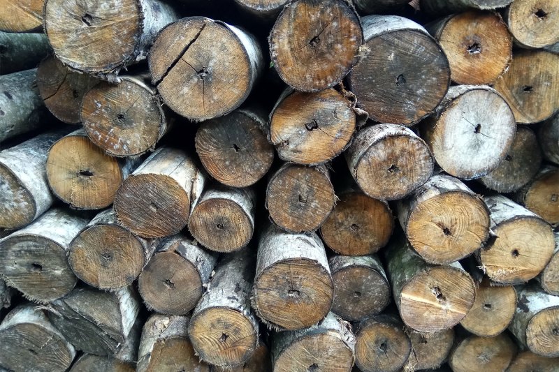 Moldy wood in a stack
