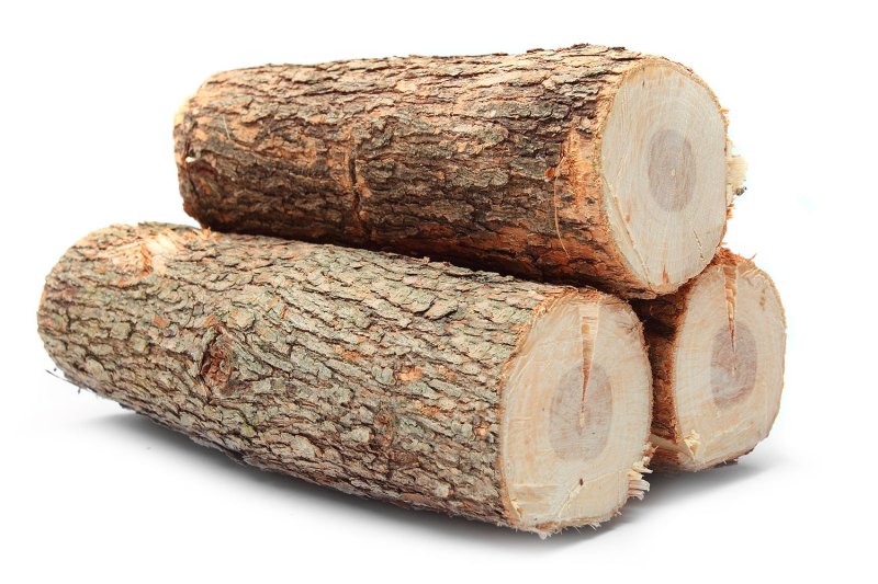 Oak logs