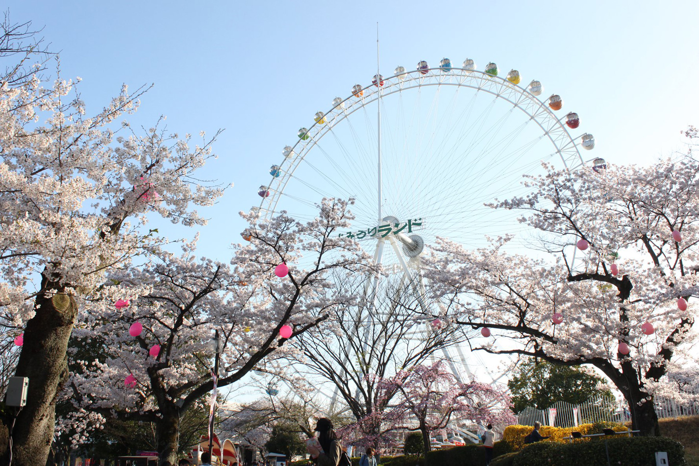 Ferris Wheel at Yomiuriland in Tokyo