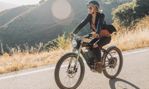 Vintage Electric Roadster e-bike