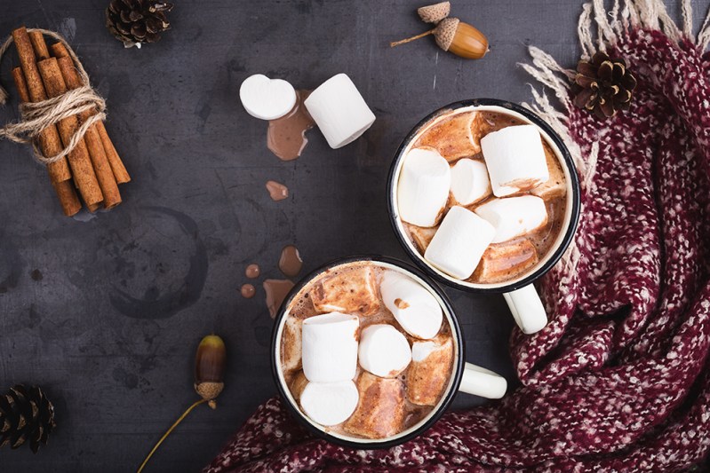 Hot chocolate served in vintage mugs with marshmallows