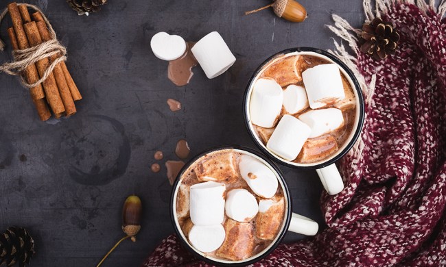 Hot chocolate served in vintage mugs with marshmallows