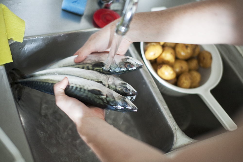 How to Clean a Fish: A Beginner's Guide | The Manual
