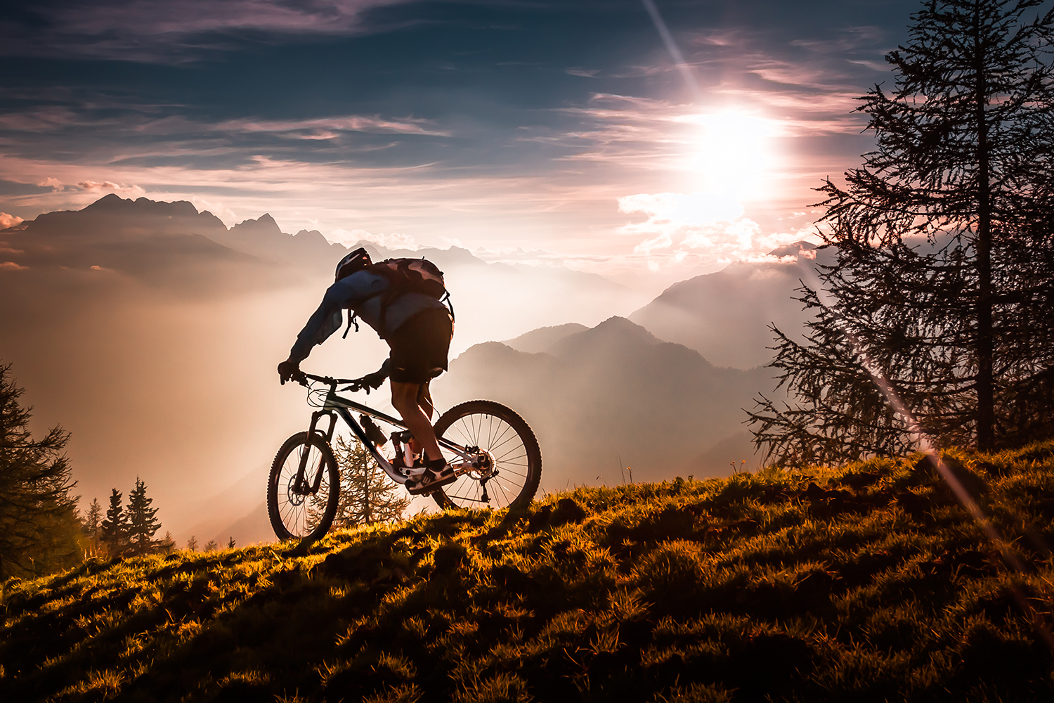 The Ultimate Beginner's Guide to Mountain Biking - The Manual
