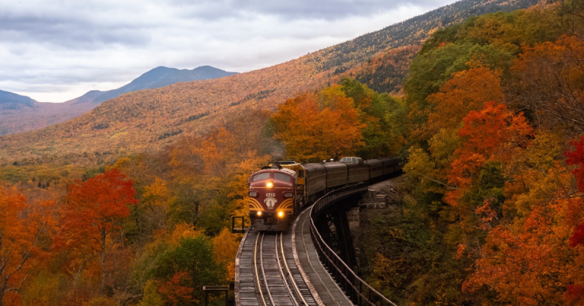 an-introductory-guide-to-the-most-scenic-train-rides-in-the-united