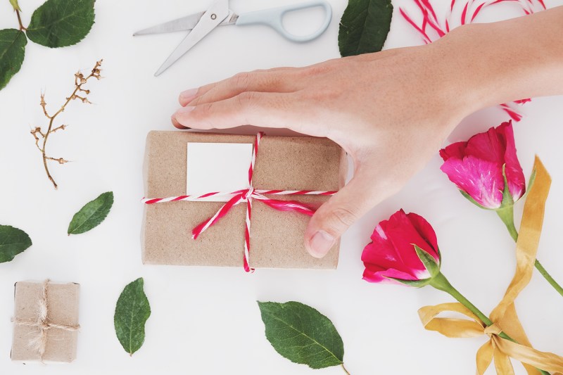 Gift wrapped in red and white cord among stylized background with plants.