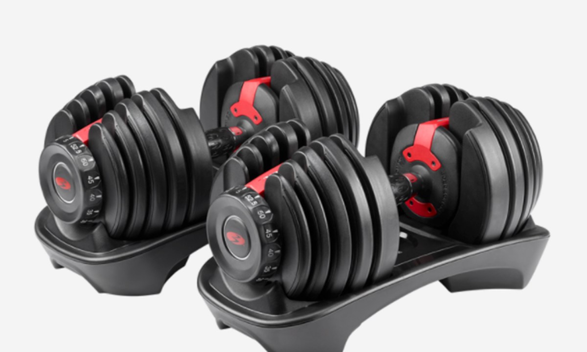 The Bowflex SelectTech 552 Adjustable Dumbbells on a white background.