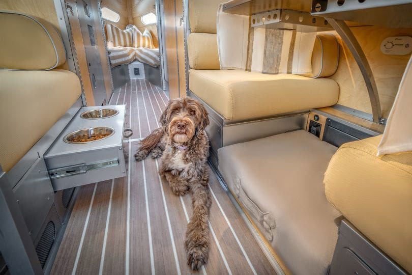 Pet-Friendly Features in the Bowlus Terra Firma Travel Trailer
