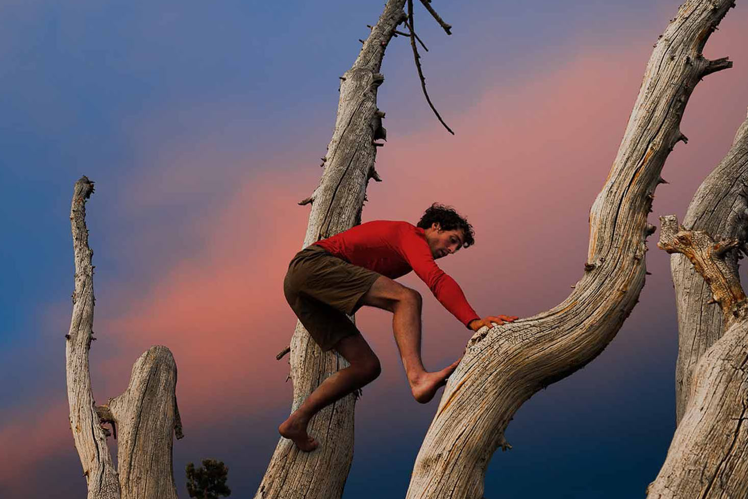 A man climbing on a tree.
