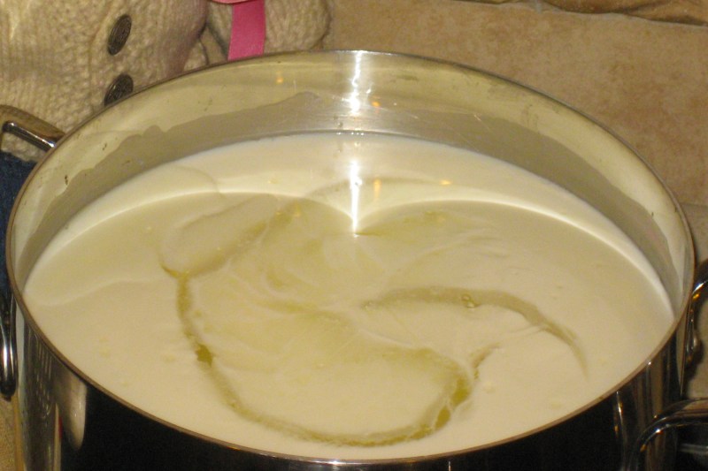 Peynir yapımında asitleştirme aşaması
