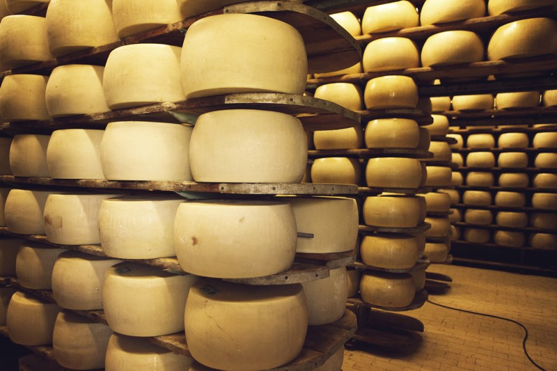 Peynirin yıllandırılması için depolama alanı