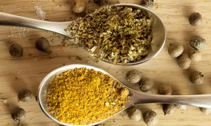 Two spices, close-up