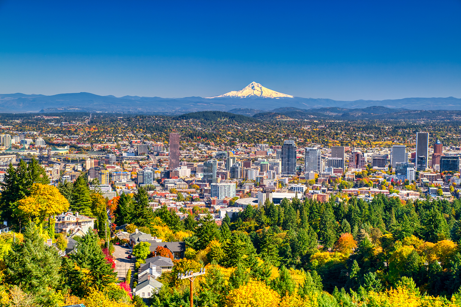 Portland Oregon Zip Code